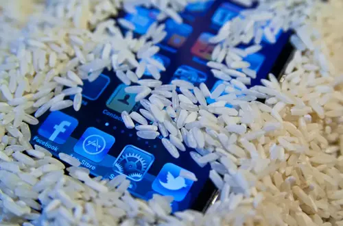 Rice does nothing for water damaged iPhones